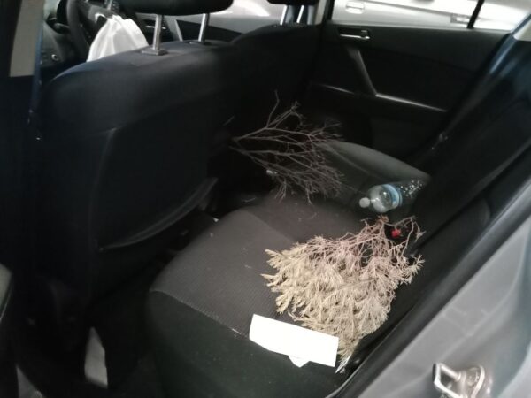 P4887 - Mazda 3 2012 Grey Wrecking - Image 6