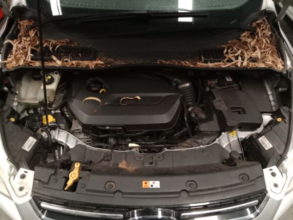 P4942 - Ford Kuga 2014 Silver Wrecking - Image 15