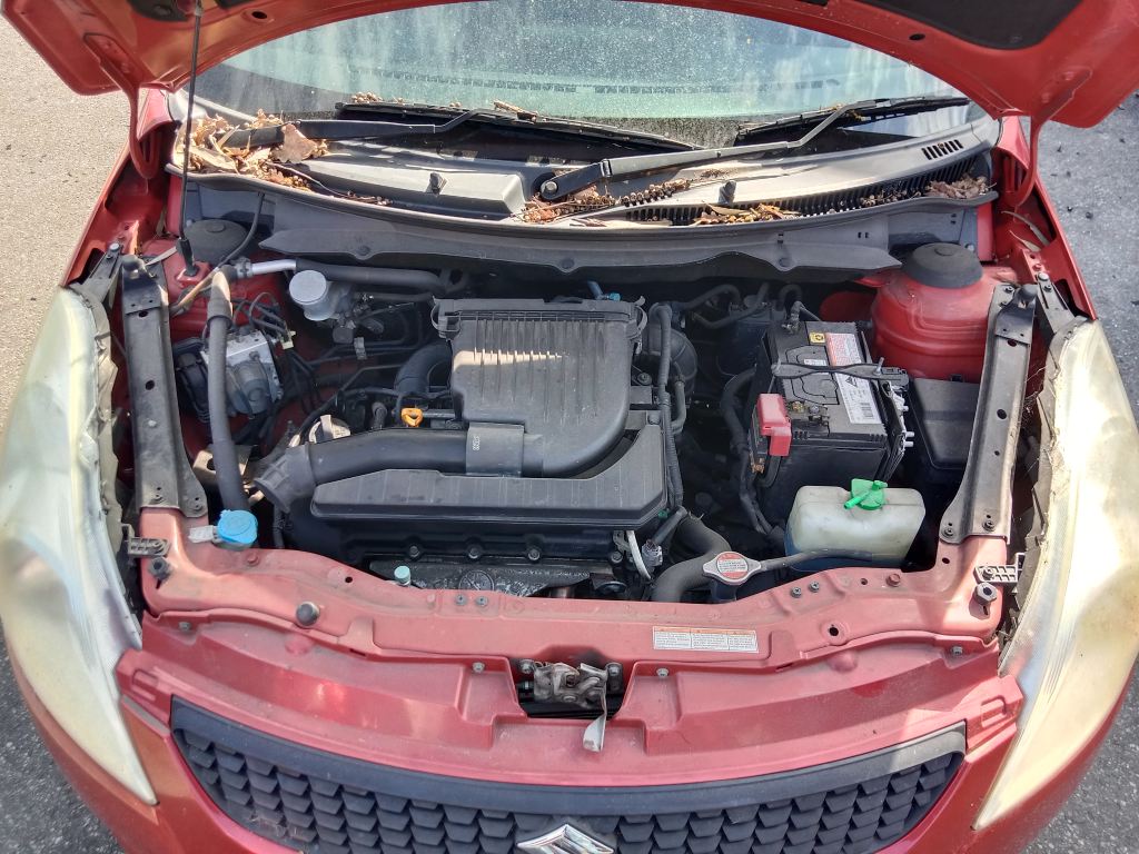 P5791 - Suzuki Swift 2011 Red Wrecking - Image 2