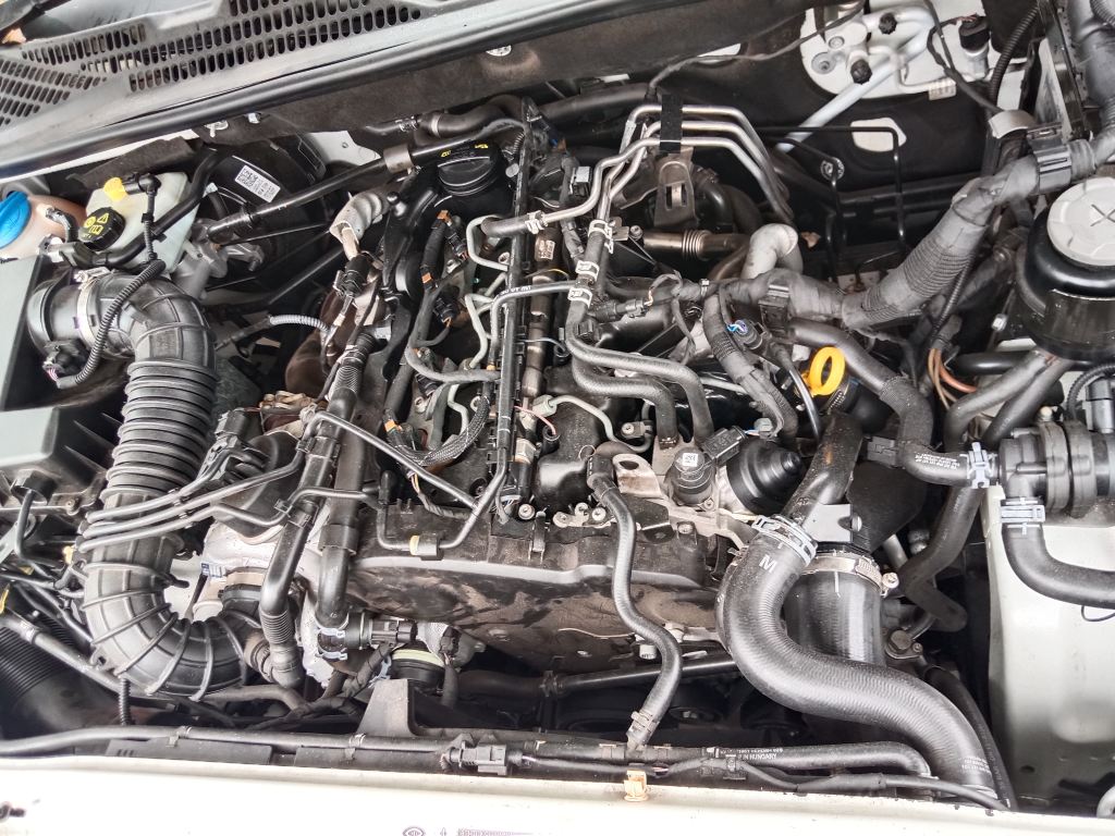 P5835 - Volkswagen Amarok 2014 White Wrecking - Image 15